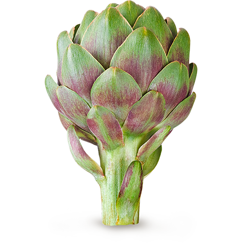 Carciofi