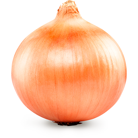 Cipolle