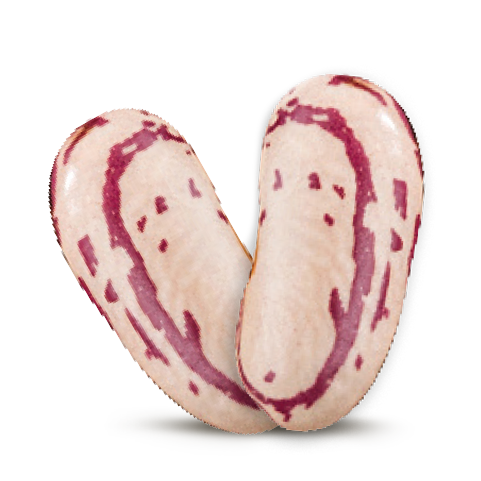Fagioli