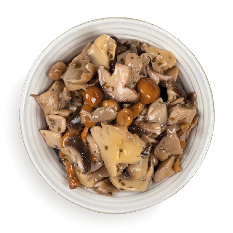 Funghi misti